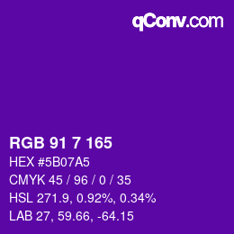 カラーコード: RGB 91 7 165 | qconv.com