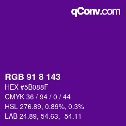 Color code: RGB 91 8 143 | qconv.com