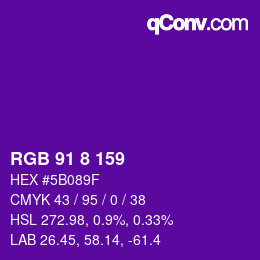 Color code: RGB 91 8 159 | qconv.com