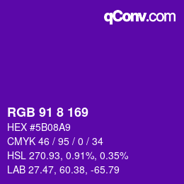 Color code: RGB 91 8 169 | qconv.com