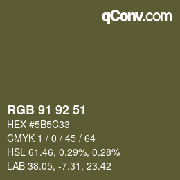 颜色代码: RGB 91 92 51 | qconv.com