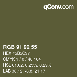 颜色代码: RGB 91 92 55 | qconv.com