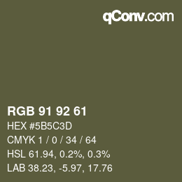 颜色代码: RGB 91 92 61 | qconv.com