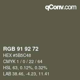 颜色代码: RGB 91 92 72 | qconv.com