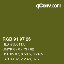 Color code: RGB 91 97 26 | qconv.com