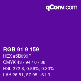 Color code: RGB 91 9 159 | qconv.com