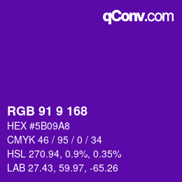 Color code: RGB 91 9 168 | qconv.com