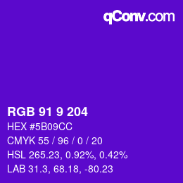 Color code: RGB 91 9 204 | qconv.com