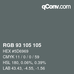 Color code: RGB 93 105 105 | qconv.com