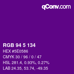 Color code: RGB 94 5 134 | qconv.com