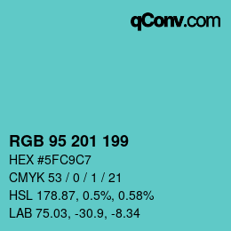 Color code: RGB 95 201 199 | qconv.com