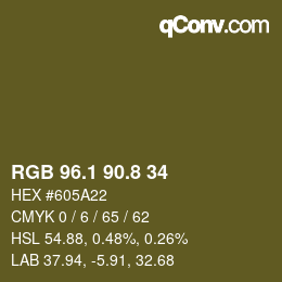 Color code: RGB 96.1 90.8 34 | qconv.com