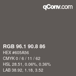 Color code: RGB 96.1 90.8 86 | qconv.com