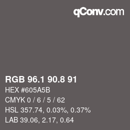 Color code: RGB 96.1 90.8 91 | qconv.com