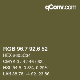 カラーコード: RGB 96.7 92.6 52 | qconv.com
