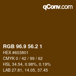 Farbcode: RGB 96.9 56.2 1 | qconv.com
