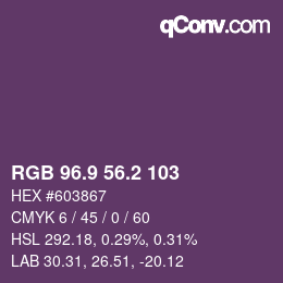 Color code: RGB 96.9 56.2 103 | qconv.com
