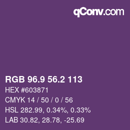Color code: RGB 96.9 56.2 113 | qconv.com