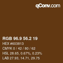 Color code: RGB 96.9 56.2 19 | qconv.com