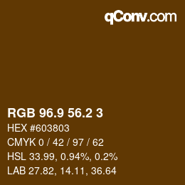 Color code: RGB 96.9 56.2 3 | qconv.com