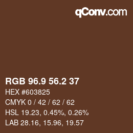 Color code: RGB 96.9 56.2 37 | qconv.com