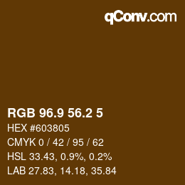 Color code: RGB 96.9 56.2 5 | qconv.com