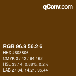 Color code: RGB 96.9 56.2 6 | qconv.com