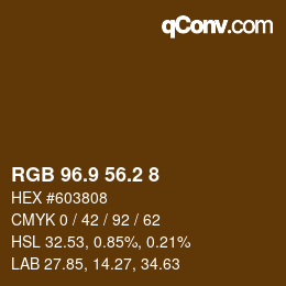 Color code: RGB 96.9 56.2 8 | qconv.com