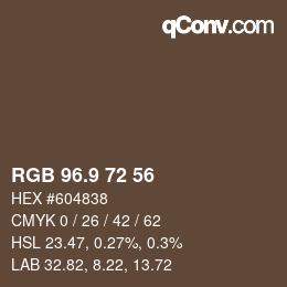Color code: RGB 96.9 72 56 | qconv.com