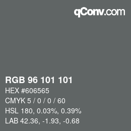 颜色代码: RGB 96 101 101 | qconv.com