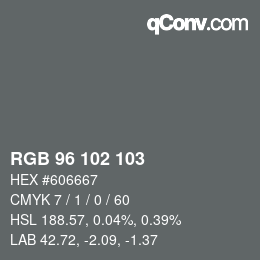 Color code: RGB 96 102 103 | qconv.com