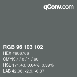 Color code: RGB 96 103 102 | qconv.com