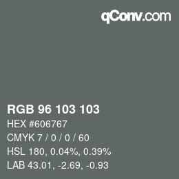 Farbcode: RGB 96 103 103 | qconv.com
