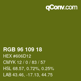 Code couleur: RGB 96 109 18 | qconv.com