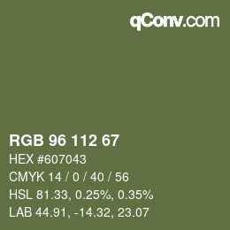 Farbcode: RGB 96 112 67 | qconv.com