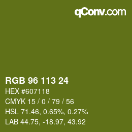 Color code: RGB 96 113 24 | qconv.com