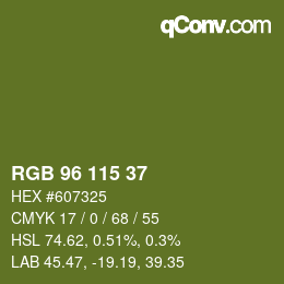 Color code: RGB 96 115 37 | qconv.com