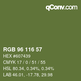Farbcode: RGB 96 116 57 | qconv.com