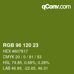 颜色代码: RGB 96 120 23 | qconv.com
