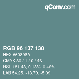 Farbcode: RGB 96 137 138 | qconv.com