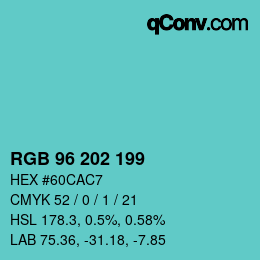 Color code: RGB 96 202 199 | qconv.com