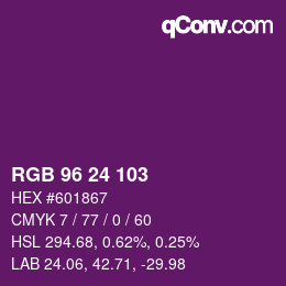 Color code: RGB 96 24 103 | qconv.com