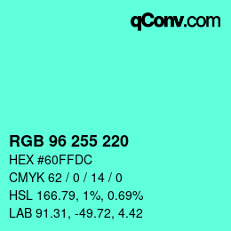 Color code: RGB 96 255 220 | qconv.com