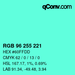 Color code: RGB 96 255 221 | qconv.com