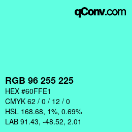 Color code: RGB 96 255 225 | qconv.com