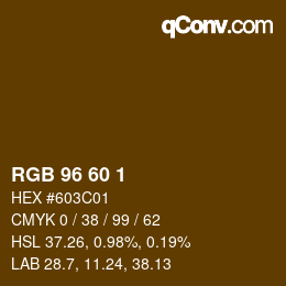 颜色代码: RGB 96 60 1 | qconv.com