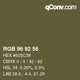 Color code: RGB 96 92 56 | qconv.com