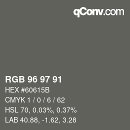 颜色代码: RGB 96 97 91 | qconv.com