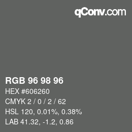 Color code: RGB 96 98 96 | qconv.com