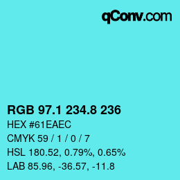 Código de color: RGB 97.1 234.8 236 | qconv.com